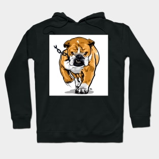 OFF DA CHAIN (WHO LET THE DOGS OUT?) Hoodie